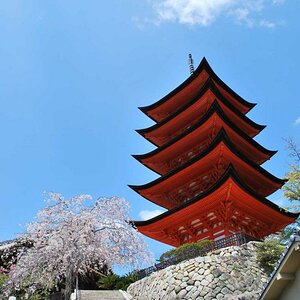 Japan (11)