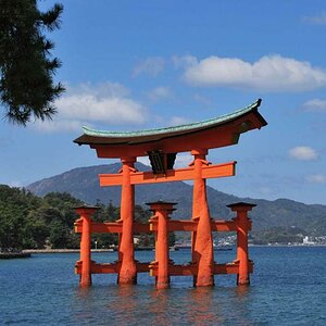 Japan (9)