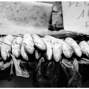 Fischmarkt I.jpg..jpg.