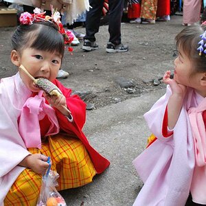 Japan (6)