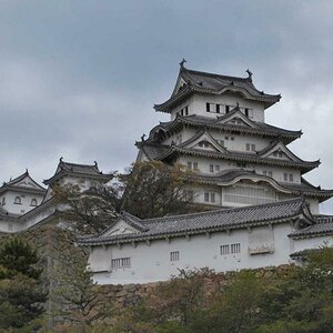Japan (8)