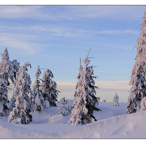 schnee