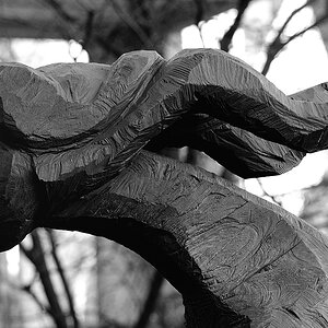 Dietrich Klinge #1#