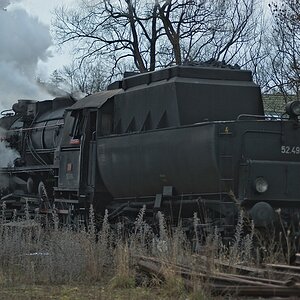 s DSC 0778 lzn