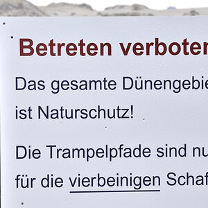 Schafe