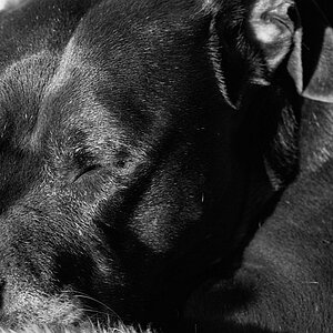Timba