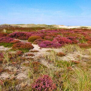 Sylt 05