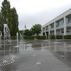 DSC 2137