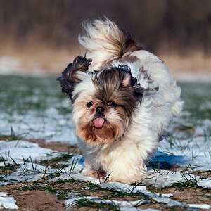 Hey, was guckst du?