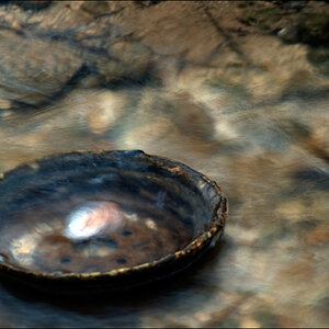 WasserDSC 8997