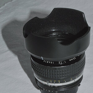 MF 50/1.2 AI Nikkor mit selbstgestrickter tulpenförmiger Gegenlichtblende