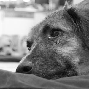 18 105er Test 35mm F5