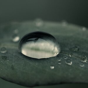 Compressed 0140