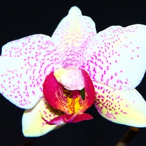 DSC 0115 01