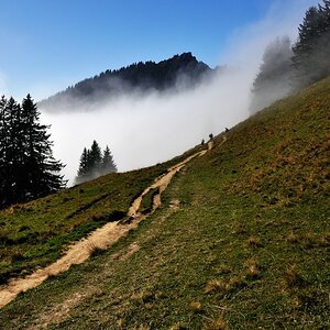 3 comp Steineberg2