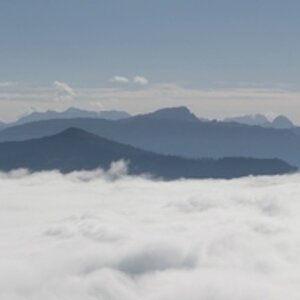 10 comp 1Steineberg P 4 4Steineberg P 1