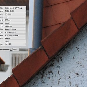 200mm am 70-200 VR II (1:1 Crop)