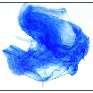 NFF Tinte 008 NFF