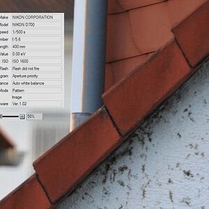 200mm am 70-200 VR II + TC2 (50% Verkleinerung)