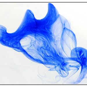 NFF Tinte 006 NFF