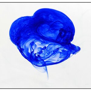 NFF Tinte 005 NFF