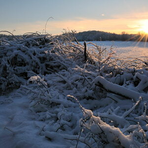 Sonnenuntergang Feld
