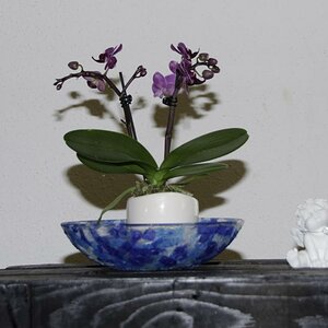 testbild2