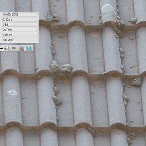 70-200 VRII bei 100mm mit TC2 1:1 Crop