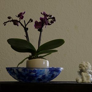testbild3