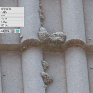 70-200 VRII bei 200mm mit TC2 1:1 Crop