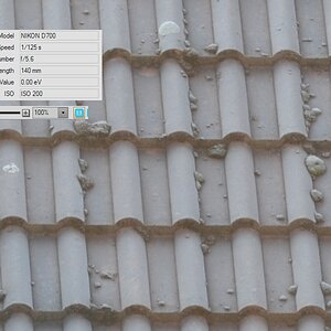 70-200 VRII bei 70mm mit TC2 1:1 Crop