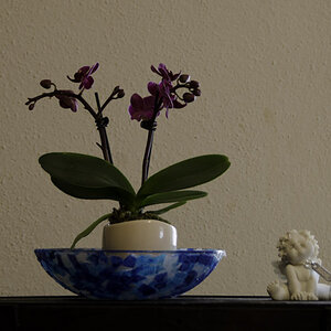 testbild3