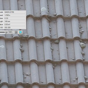70-200 VRII bei 140mm,  1:1 Crop