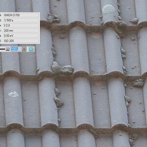 70-200 VRII bei 200mm, 1:1 Crop