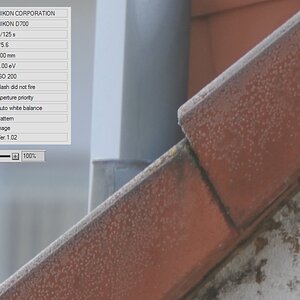 70-200 VRII bei 200mm / Offenblende mit TC2, 1:1 Crop