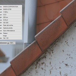 70-200 VRII bei 200mm / Offenblende, 1:1 Crop
