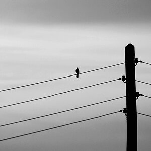 Abendstimmung II