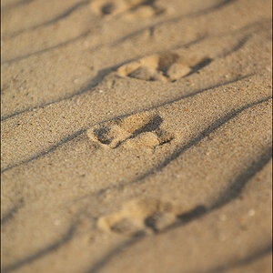 D2X 6709 1a

· http://www.nikon-fotografie.de/vbulletin/1510166-post692.html
http://www.nikon-fotografie.de/vbulletin/1605762-post83.html