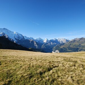 DSC 4602