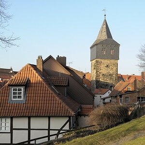DSC2851