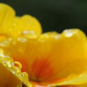 20110327 145452