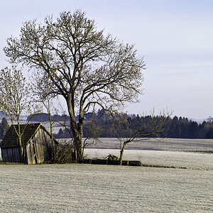 montag morgen