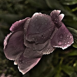 hdr13