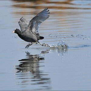 aacomp Nabu Wedel 20110327 1074