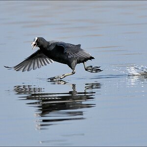 aacomp Nabu Wedel 20110327 1077