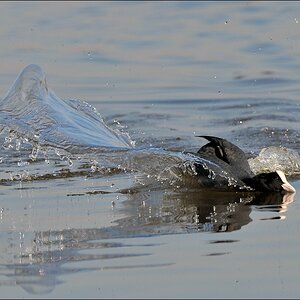 aacomp Nabu Wedel 20110327 1115