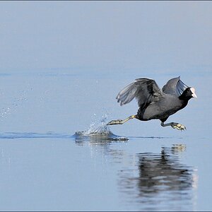 aacomp Nabu Wedel 20110327 1811