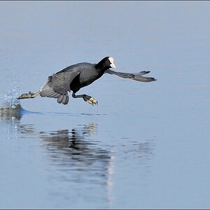 aacomp Nabu Wedel 20110327 1815