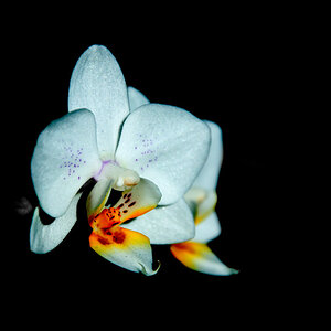 DSC 4038 kl