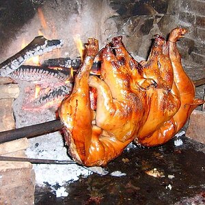 Spanferkel   nachher